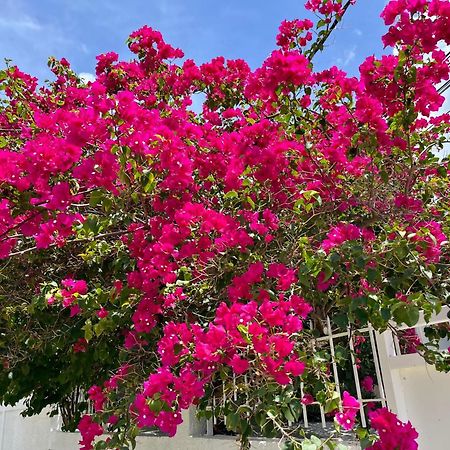 Les Villas Du Bambou - Villa Paprika Jusqu'A 6 Pers Le Gosier  Kültér fotó