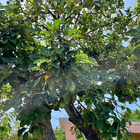 Les Villas Du Bambou - Villa Paprika Jusqu'A 6 Pers Le Gosier  Kültér fotó